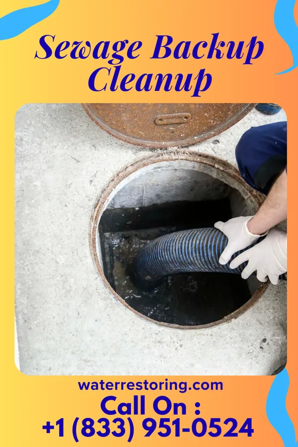 Sewage Backup Cleanup in Melstone, MT